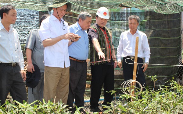 Deputy PM Hoang Trung Hai: support ethnic people who manage forests - ảnh 1